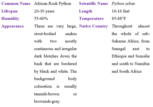 African Rock python table