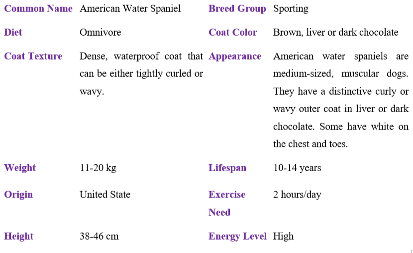 American water spaniel table