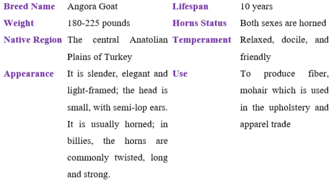 Angora goat table