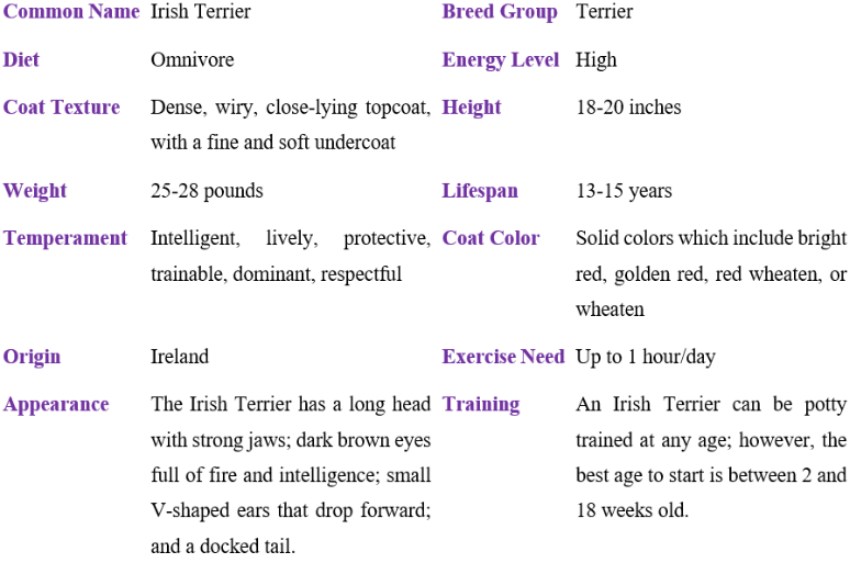 Irish terrier table