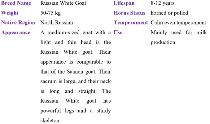 Russian White goat table