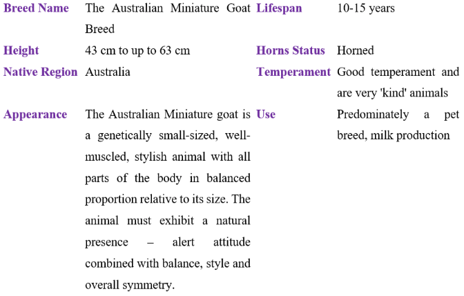 The Australian Miniature Goat Breed Table