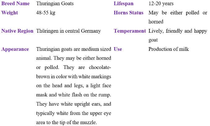 Thuringian goat table