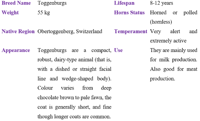 Toggenburgs table