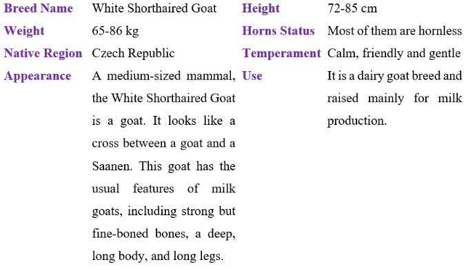 White Shorthaired Goat table