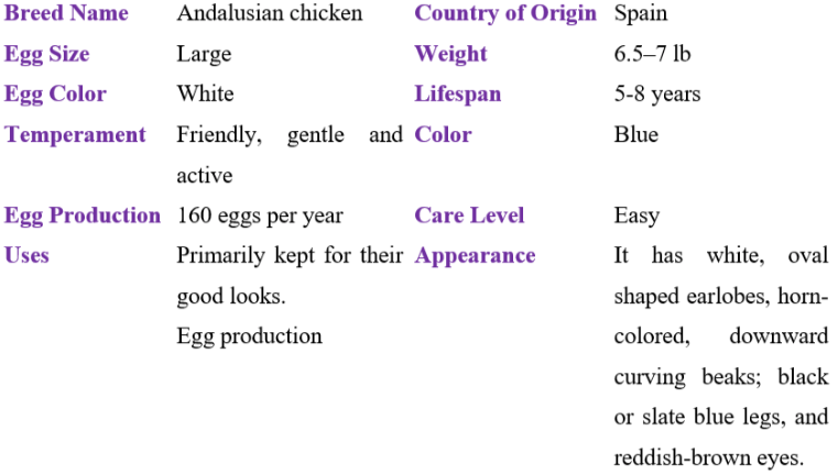 andalusian chicken table