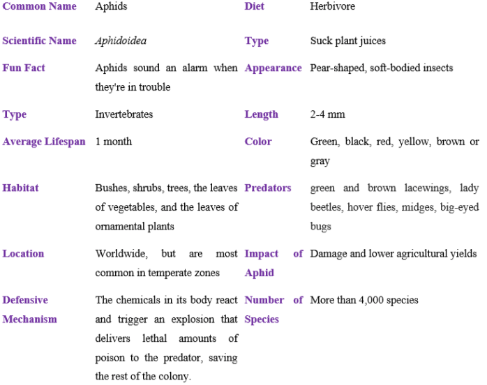 aphids table