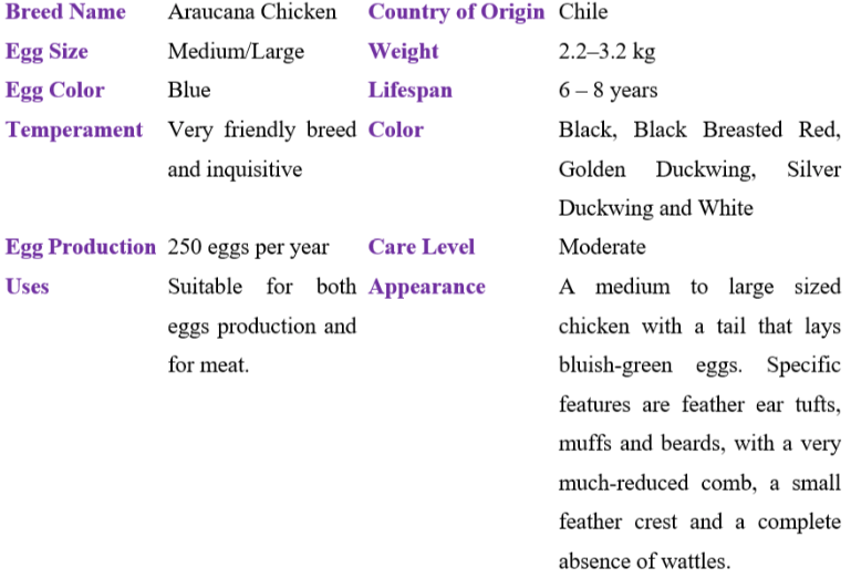 araucana chicken table
