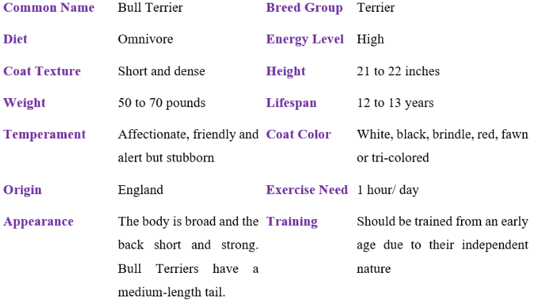 bull terrier table