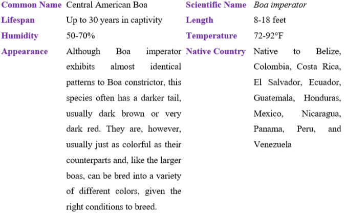 central american boa table