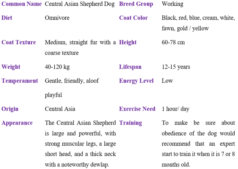 central asian shepherd dog table