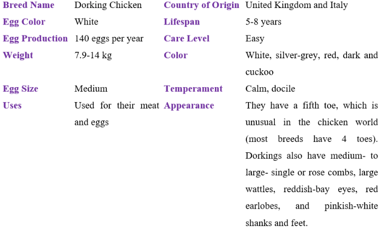 dorking chicken table