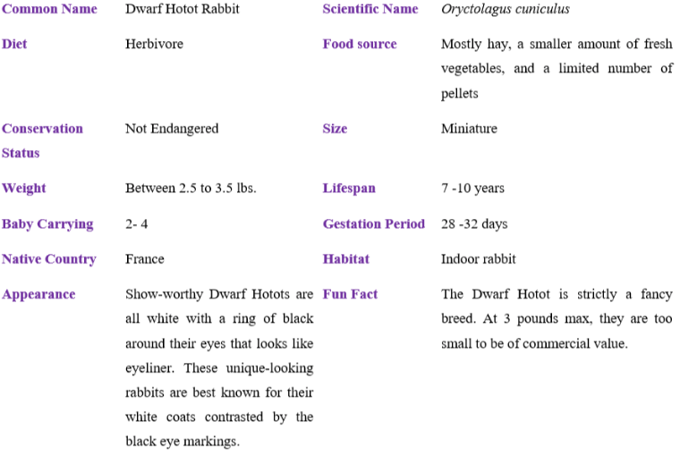 dwarf hotot rabbit table