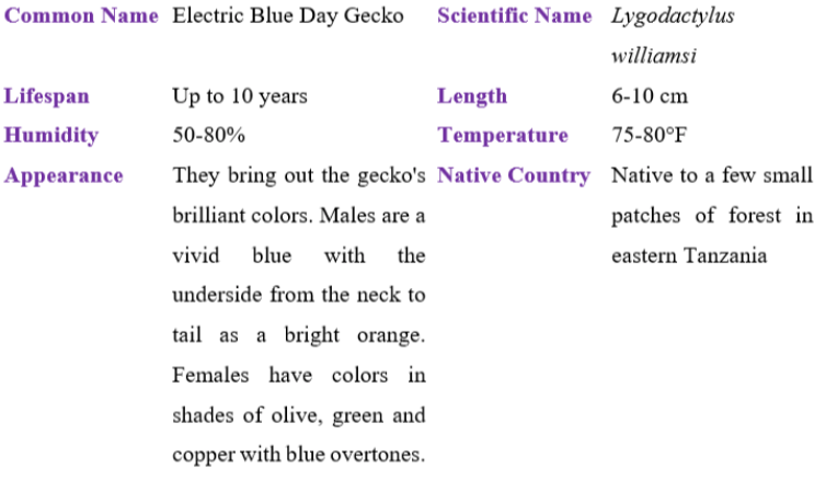 electric blue day gecko table
