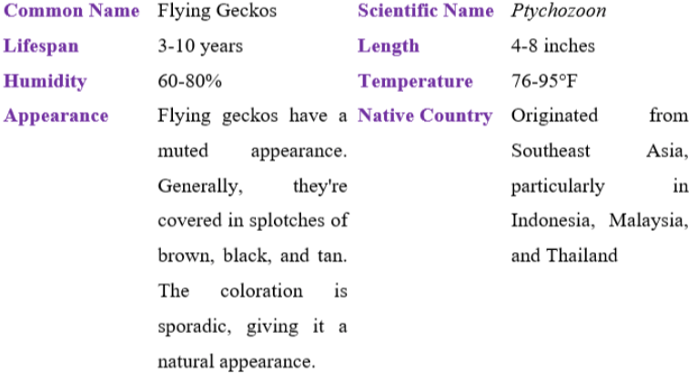 flying geckos table