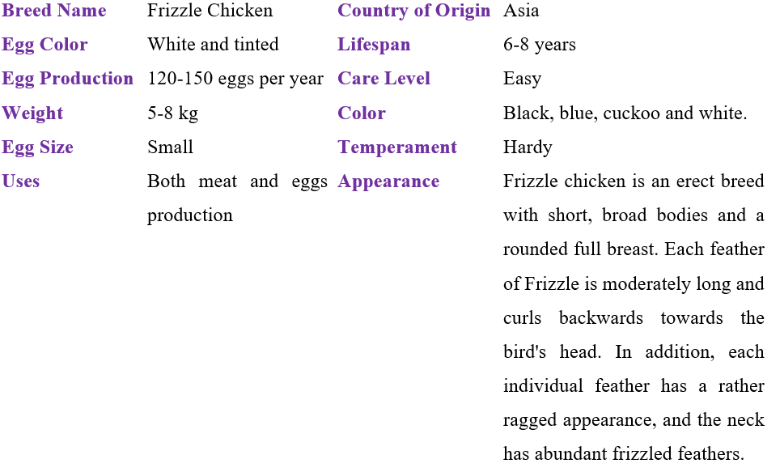 frizzle chicken table