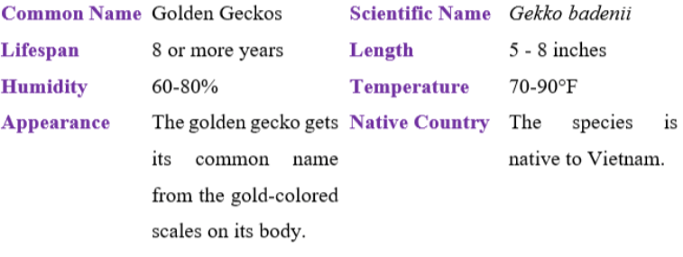 golden geckos table