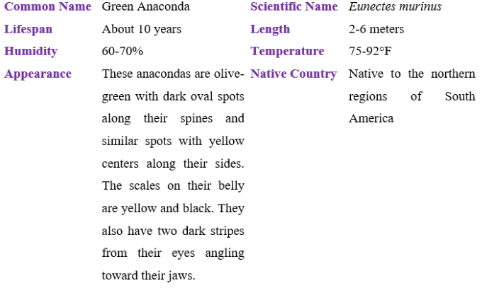 green anaconda table