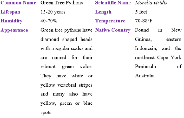 green tree python table