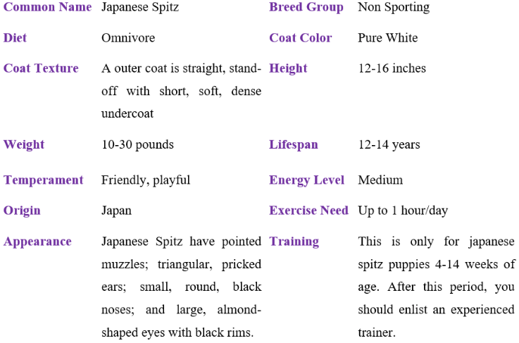 japanese spitz table