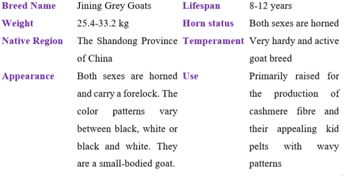 jining grey goat table
