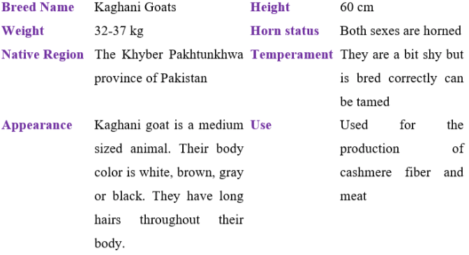 kaghani goat table