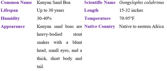 kenyan sand boa table