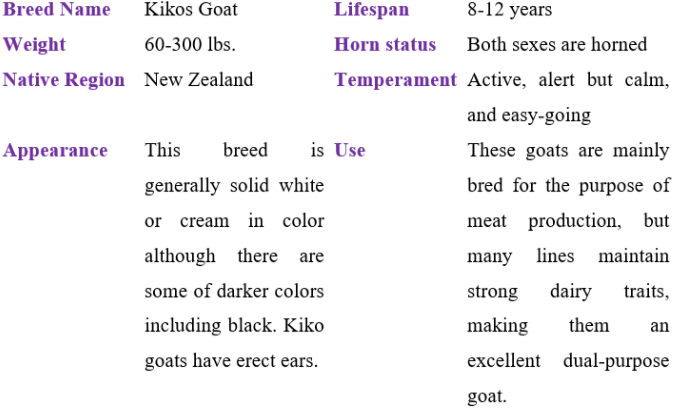 kikos goat table
