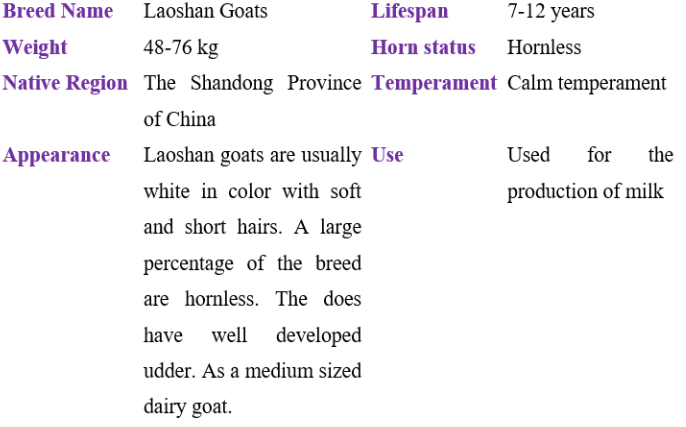 laoshan goat table