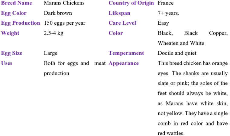 marans chicken table