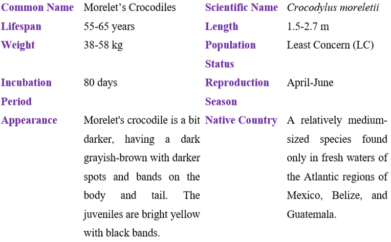 morelet's crocodiles table
