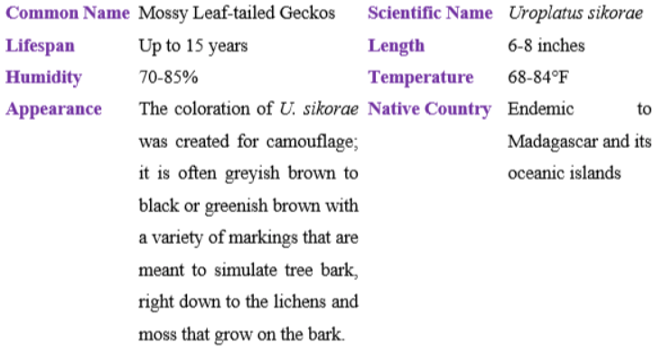 mossy leaf tailed gecko table