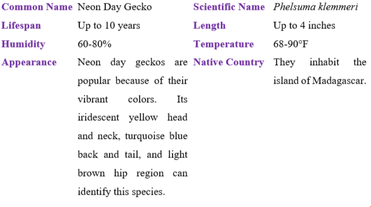 neon day gecko table