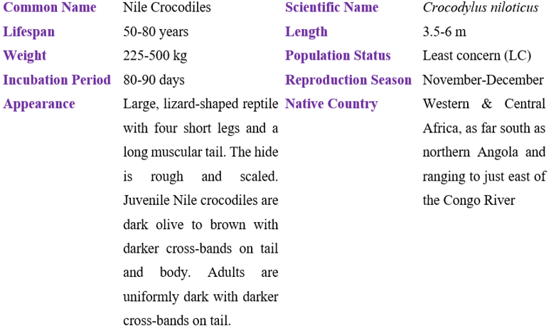 nile crocodiles table