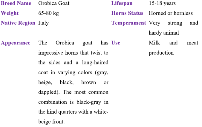 orobica goat table