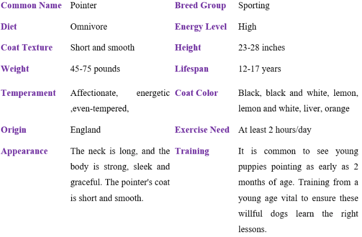 pointer table