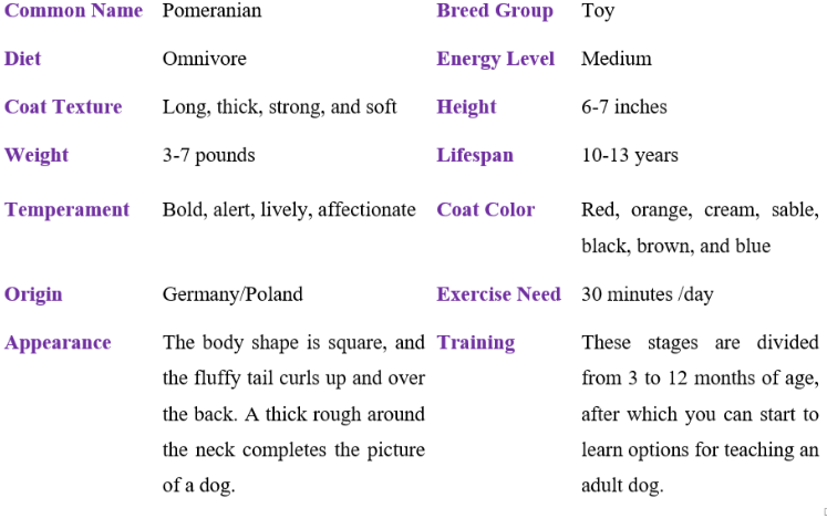 pomeranian table