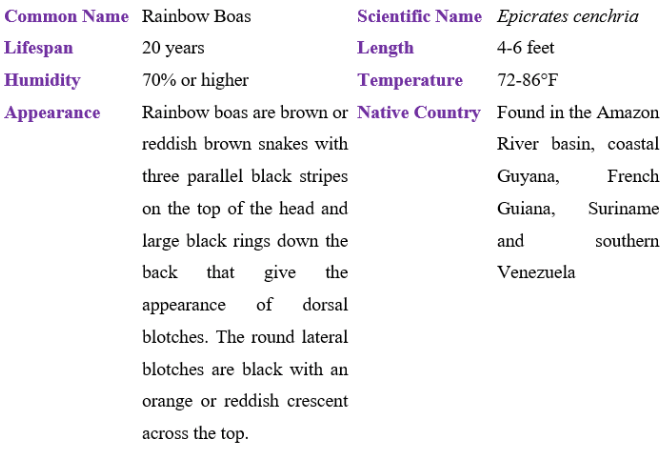 rainbow boa table