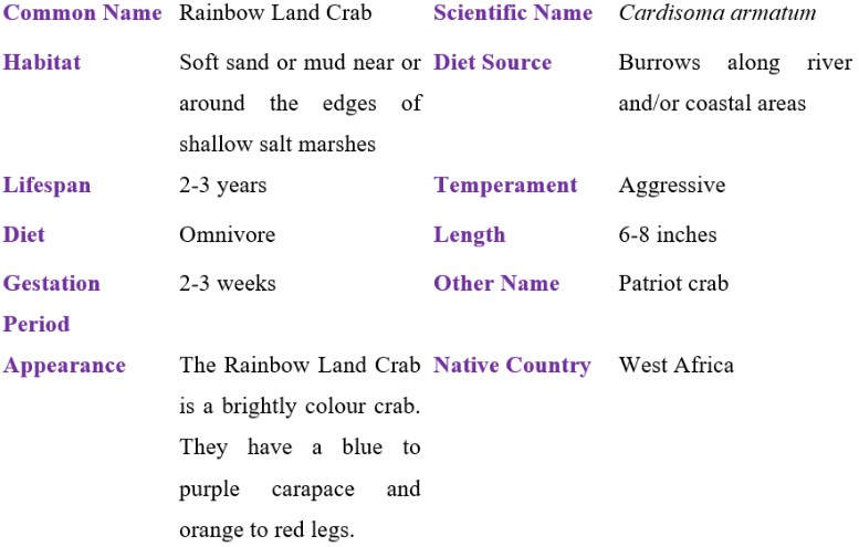 rainbow land crab table