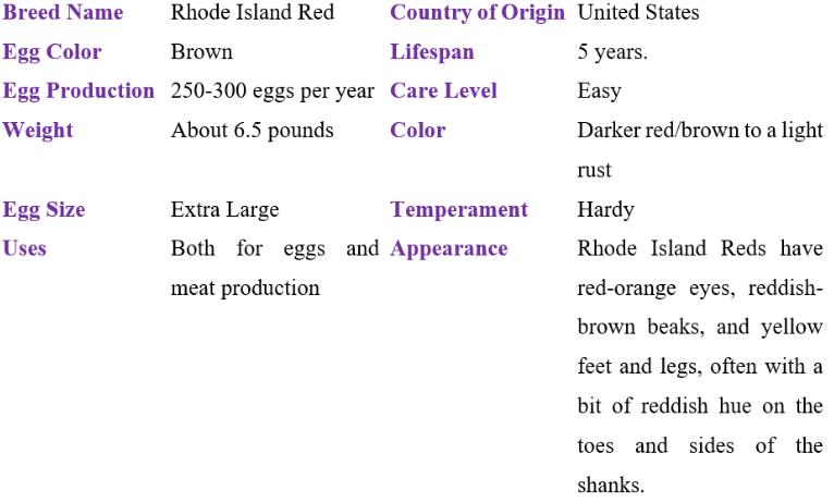 rhode island red chicken table