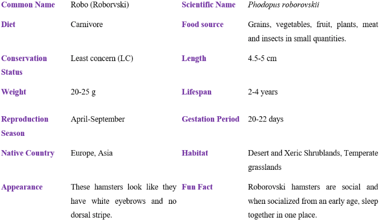 robo (roborvski) table