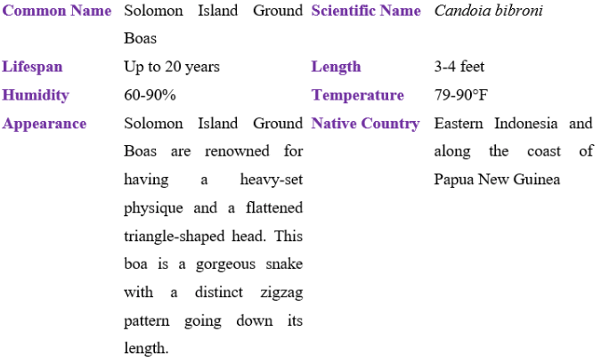 solomon island ground boa table