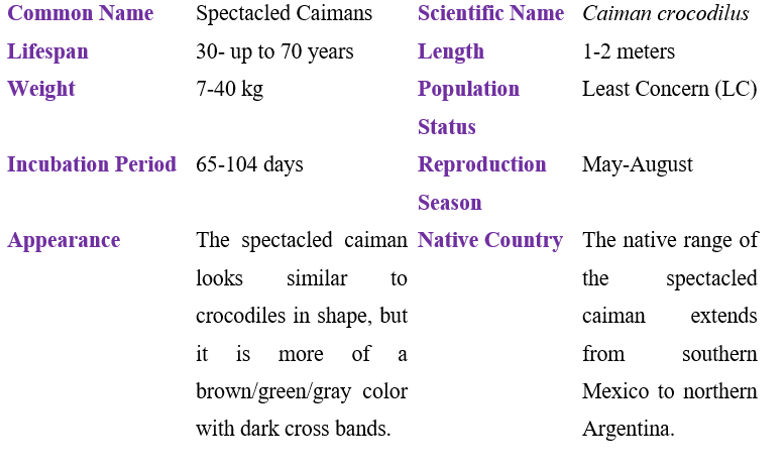 speckled caimans table