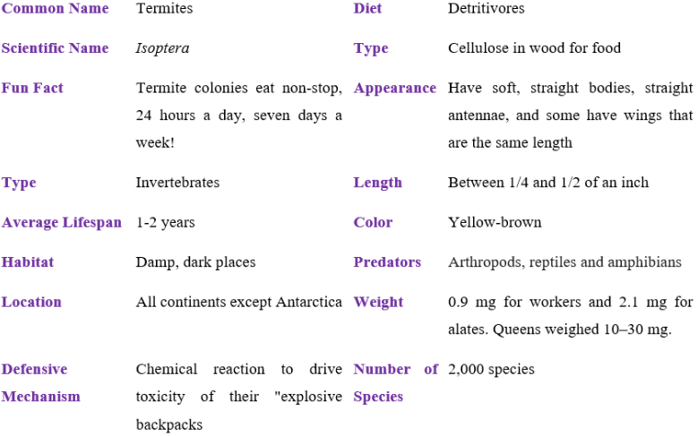 termites table