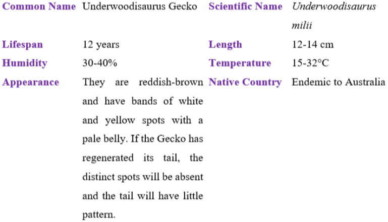 underwoodisaurus gecko table