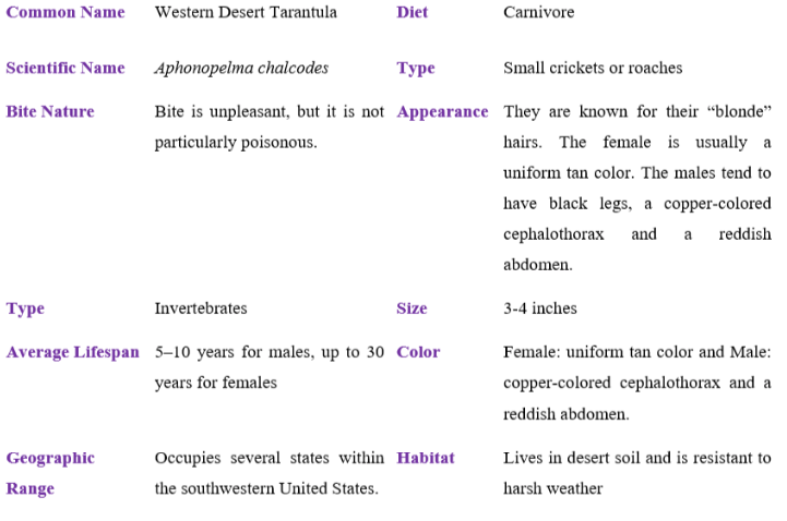 western desert tarantula table