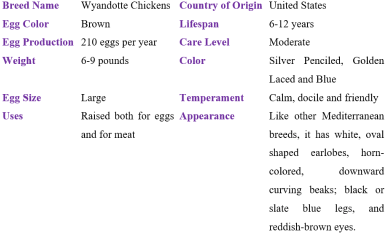wyandotte chicken table