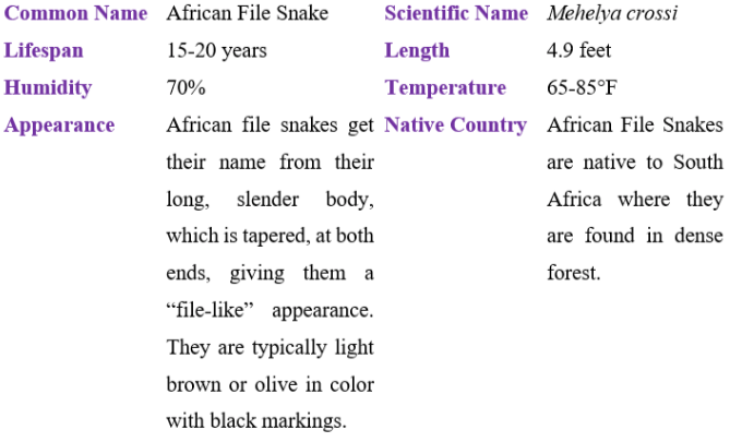 African file snake table