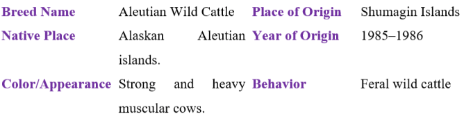 Aleutian wild cattle table