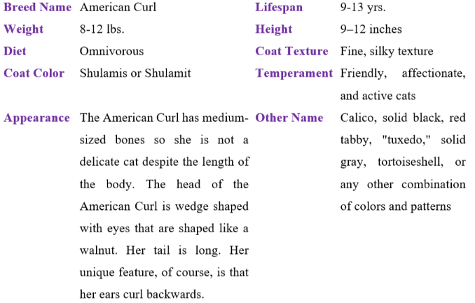 American Curl table